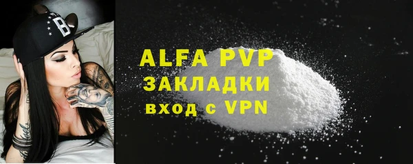 стаф Абинск