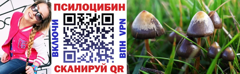 ссылка на мегу вход Краснозаводск Галлюциногенные грибы прущие грибы